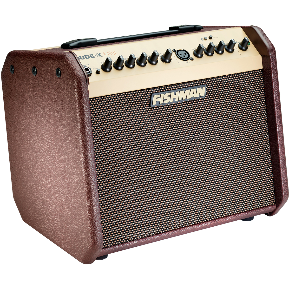 COMBO FISHMAN P/GTR LOUDBOX MINI BLUETOO